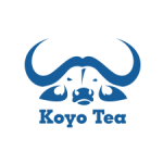 KOYO-300x225