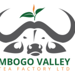 MBOGO-300x229